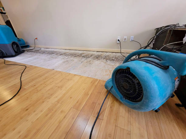 Professional Flood Damage Cleanup technician working in Randolph, WI